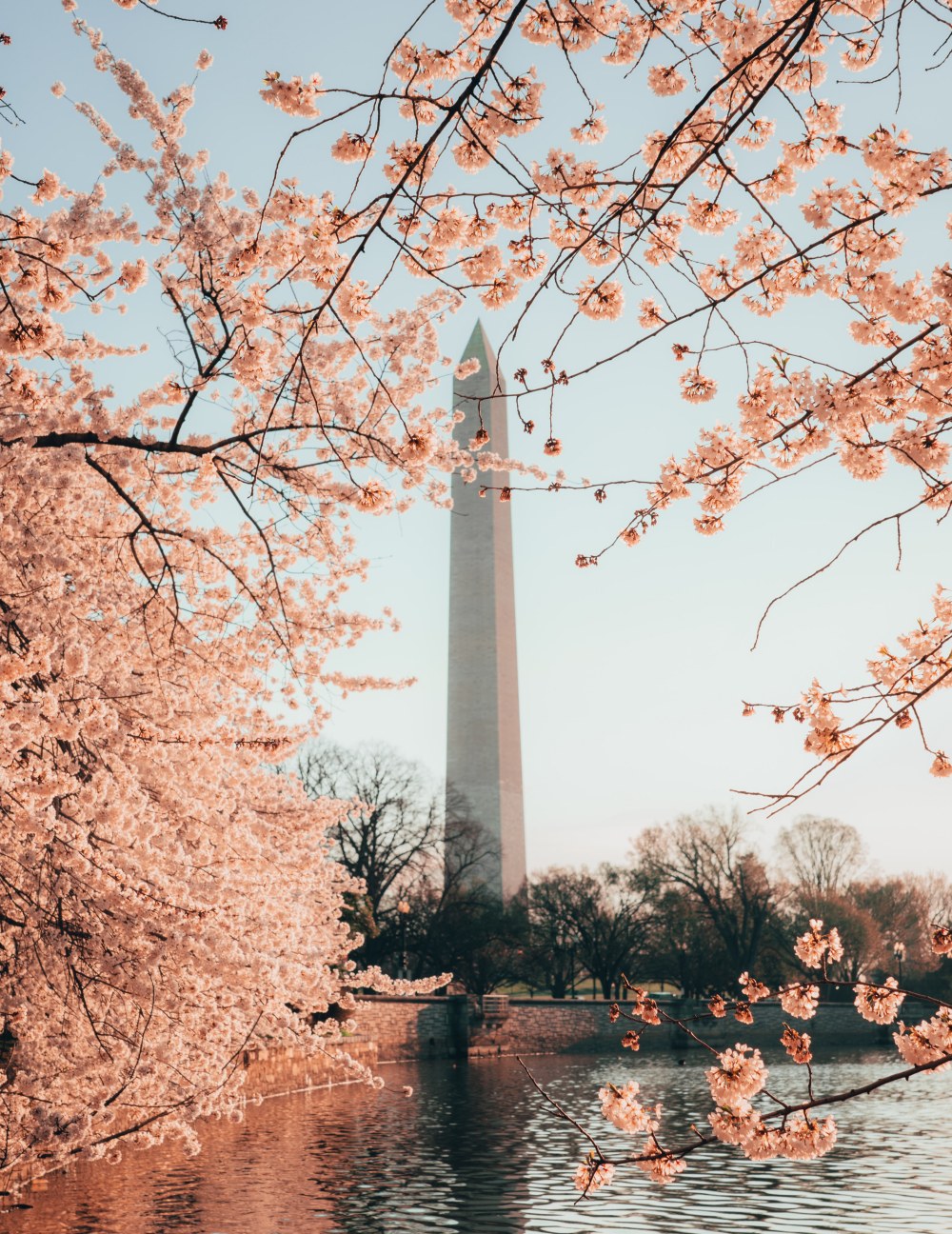 photo-by-eric-dekker-summer-internships-government-politics-washington-monument.