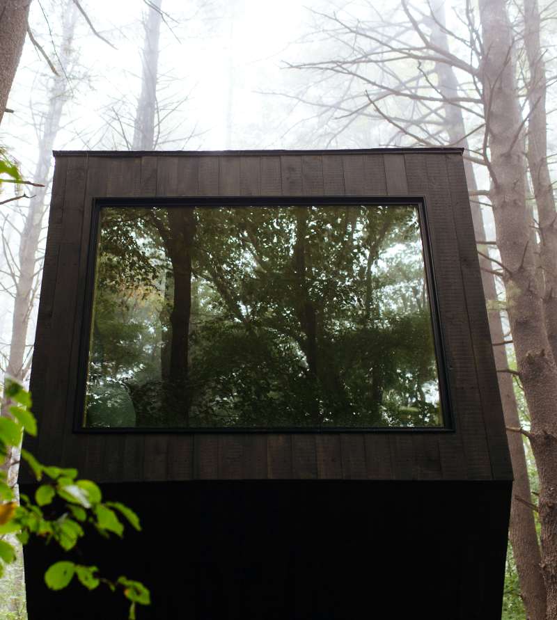 Getaway-jennifer-YoungStudio-39-capitol-standard-staycation-vacation-things-to-do-travel-cabin-in-woods