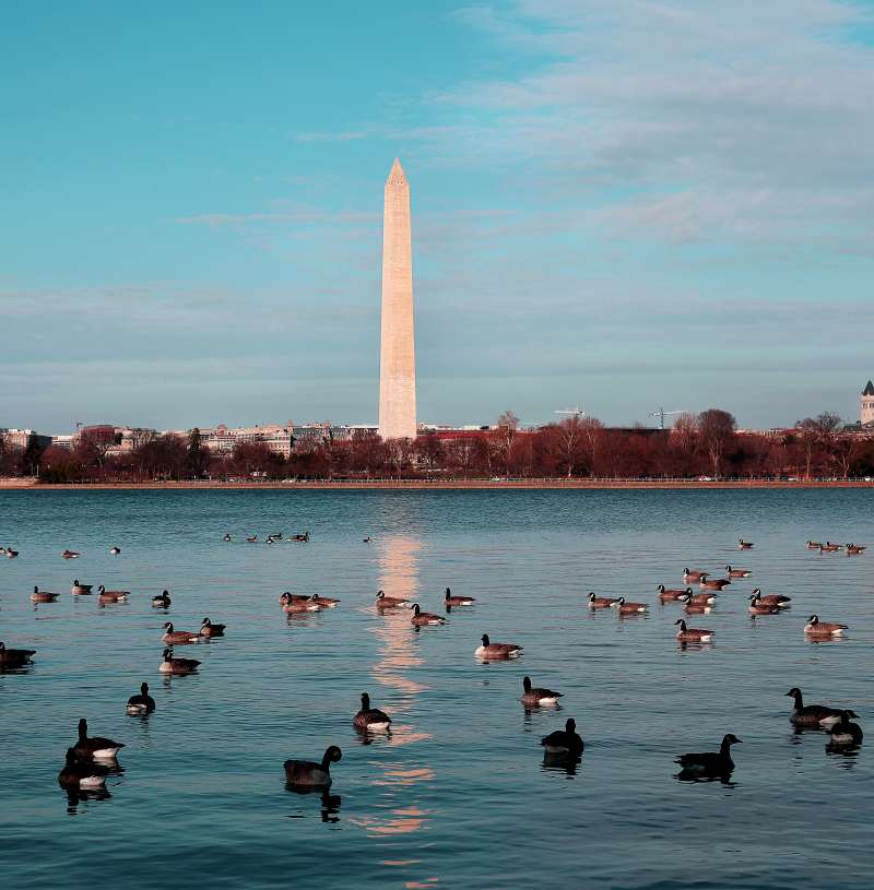 Washington-dc-Monument-USA-things-to-do-see-at-night