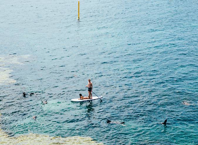 paddle boarding things to do in annapolis maryland this weekend getaways from dc