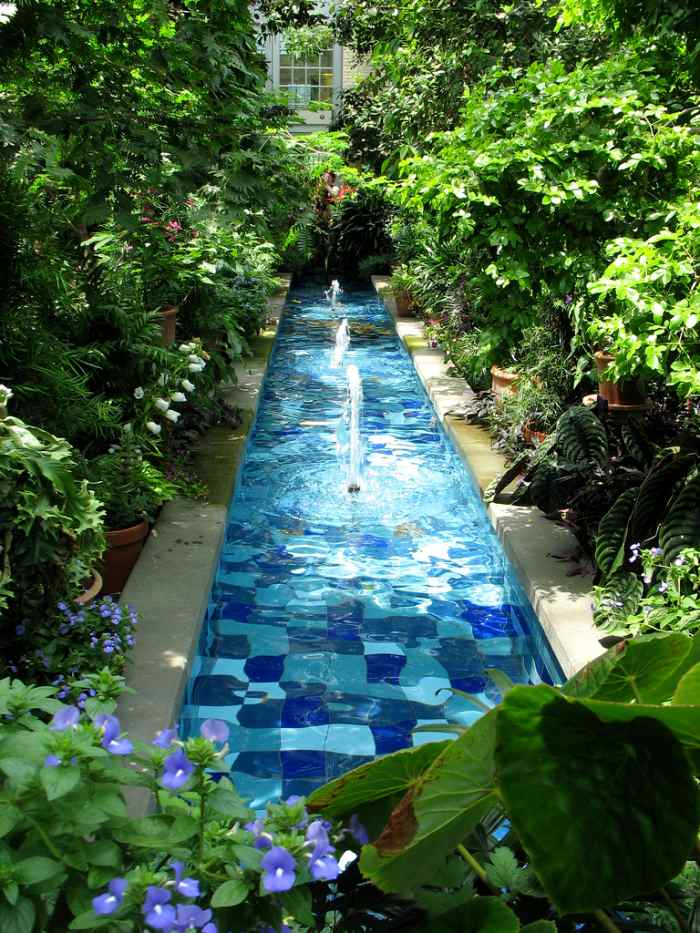 us-botanic-gardens-things-to-do-this-weekend