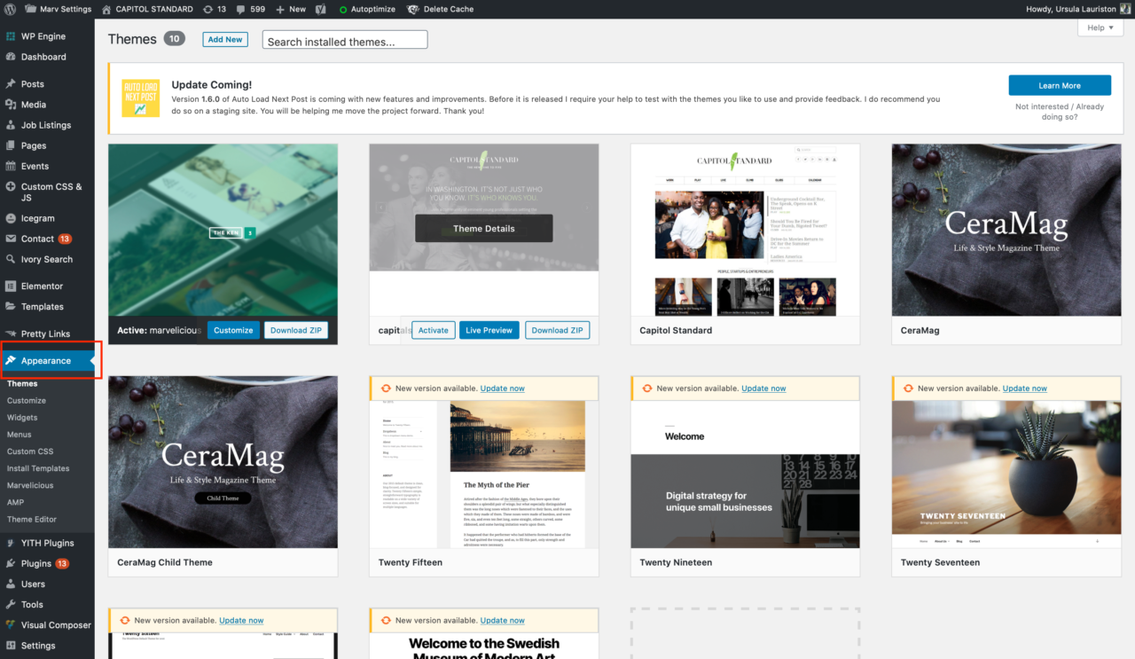 Wordpress theme install how to step by step personal branding